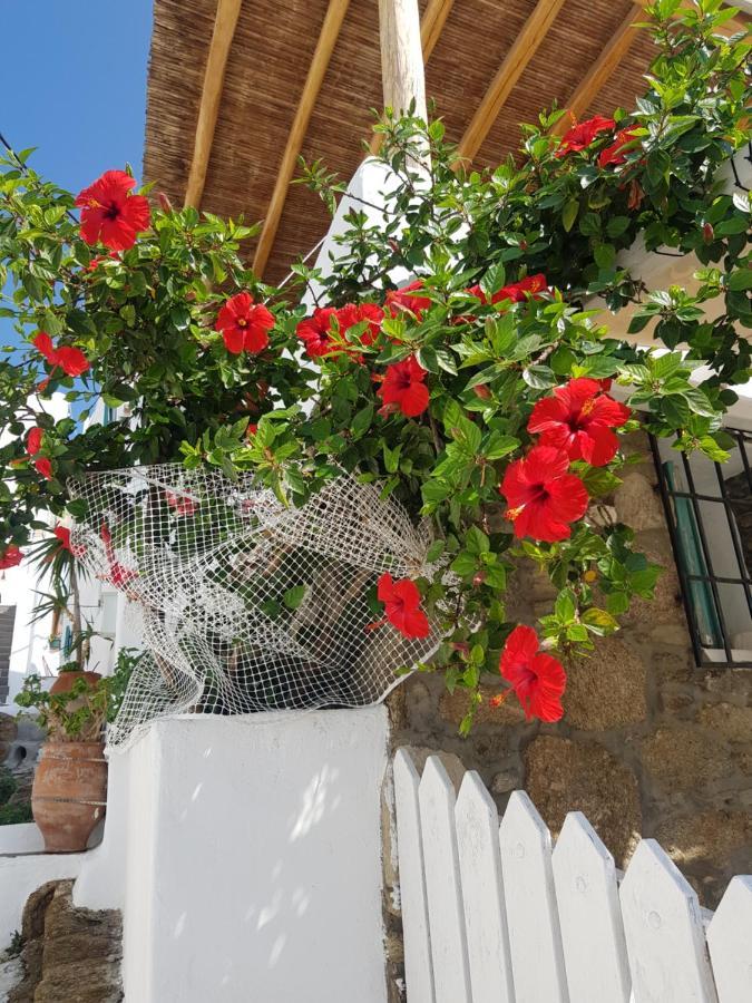Hibiscus Rosa Mykonos Βίλα Mykonos Town Εξωτερικό φωτογραφία